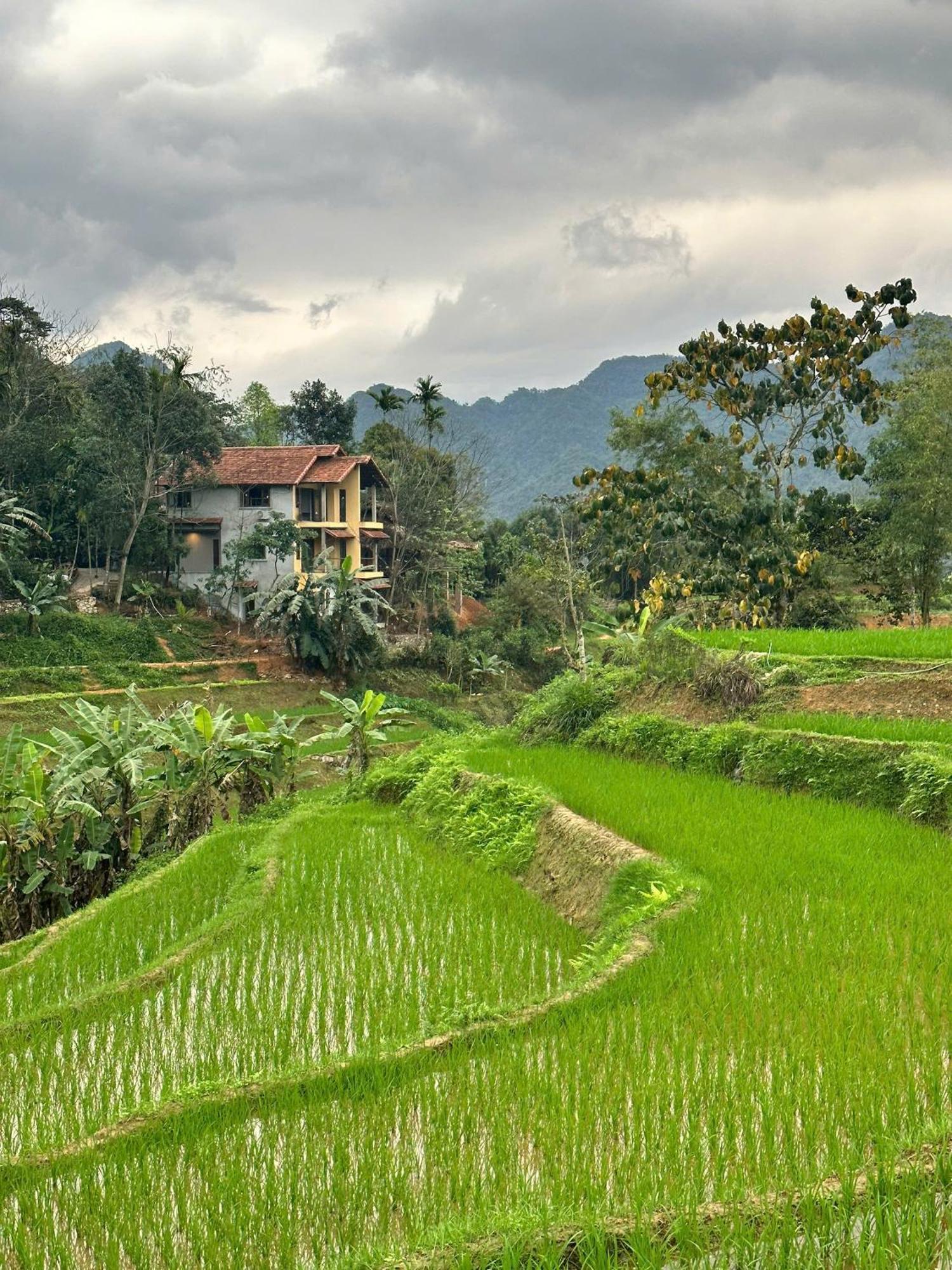 Pu Luong Boutique Garden Hotel Buitenkant foto