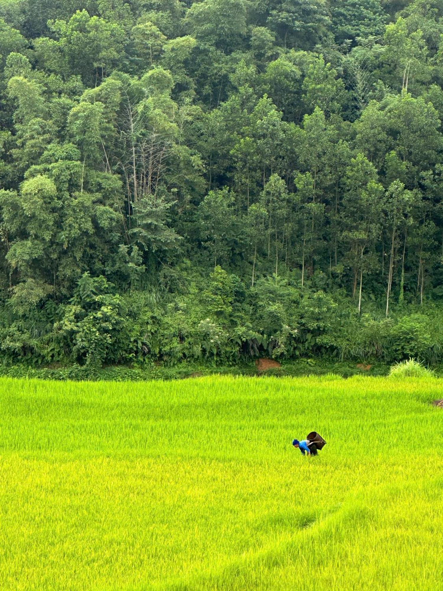 Pu Luong Boutique Garden Hotel Buitenkant foto