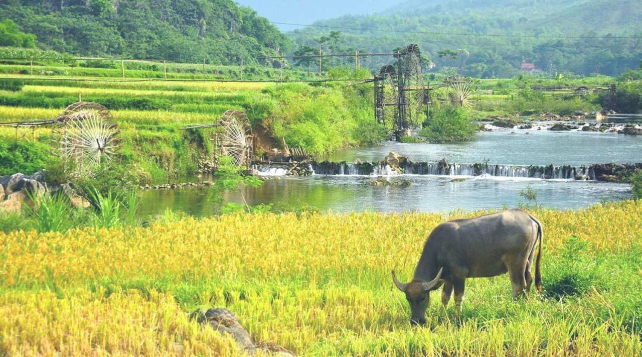 Pu Luong Boutique Garden Hotel Buitenkant foto